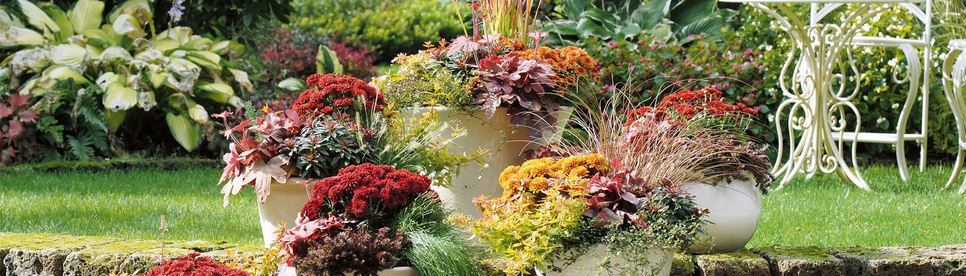 Blattschmuck und Blüten verschönern den Herbst