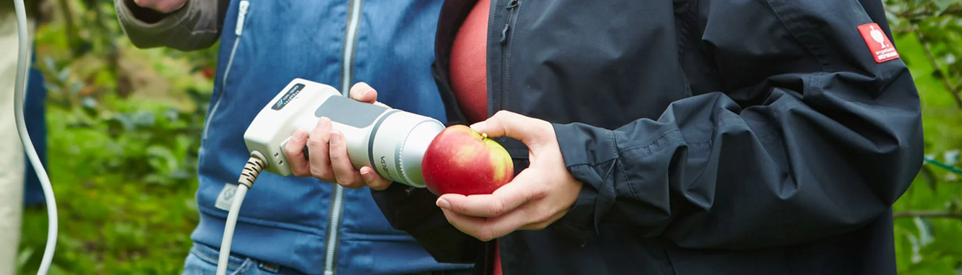 Digital, smart und nachhaltig: Ausbildung im Gartenbau