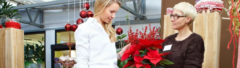 Nachhaltig und schön: Lebende Pflanzen sind das Herzstück jeder Weihnachtsdekoration