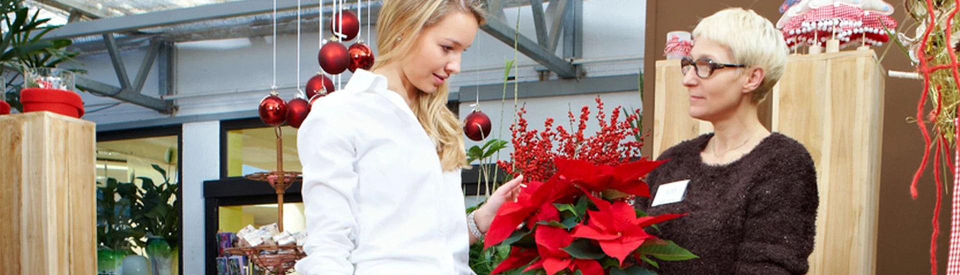 Nachhaltig und schön: Lebende Pflanzen sind das Herzstück jeder Weihnachtsdekoration